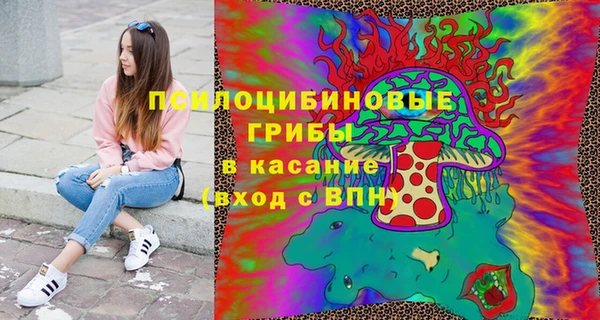 a pvp Абаза
