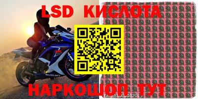 СК Краснодар