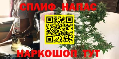 СК Краснодар