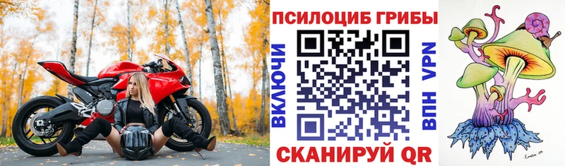 продажа наркотиков  кракен зеркало  Псилоцибиновые грибы прущие грибы  Красный Сулин 