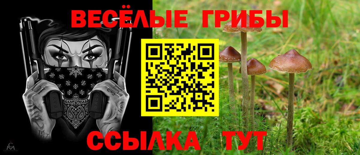 Галлюциногенные грибы GOLDEN TEACHER  Вход с VPN  Красный Сулин  даркнет сайт  Псилоцибиновые грибы мухоморы 