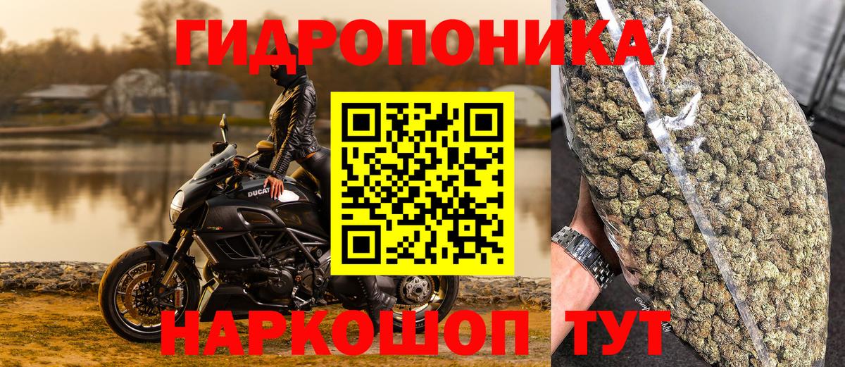 Красный Сулин  Канабис индика  Бошки марихуана конопля  Бошки Шишки семена  Вход с VPN  Марихуана конопля 